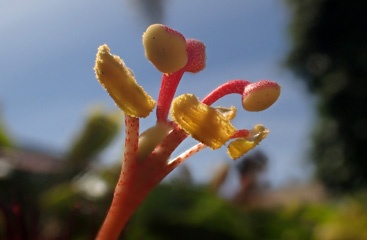 PC233216a.jpg